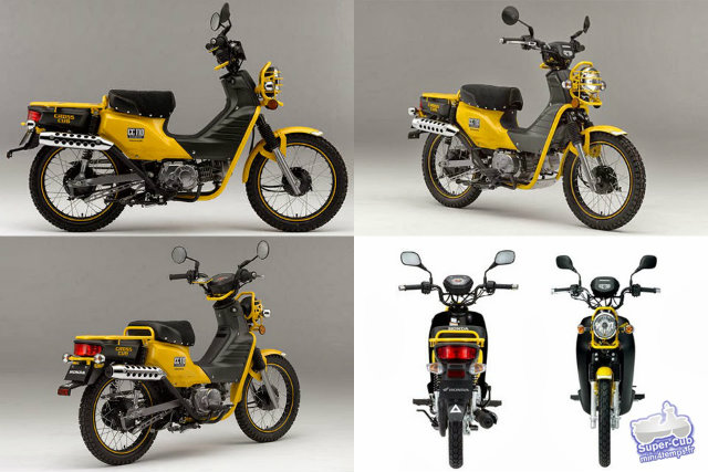 honda-cub-CC110-2013.jpg