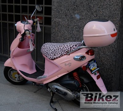 pink buddy 125.jpg