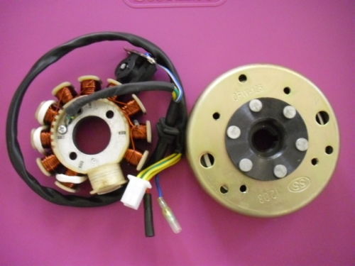 11 pole stator.jpg