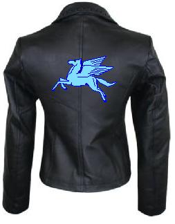 PonyJacket2.JPG