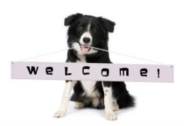 WelcomeDog.jpg