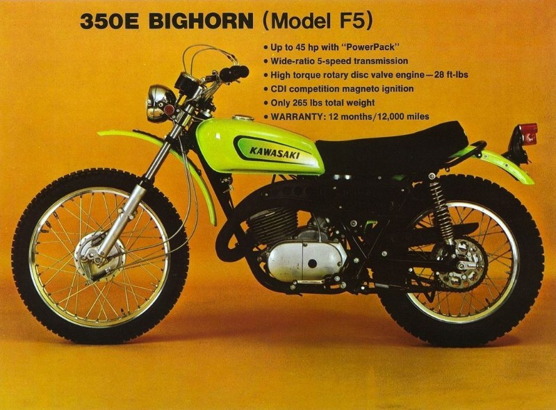 Original early 70's Bighorn