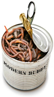 can-of-worms.jpg