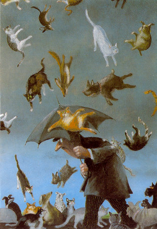 raining cats and dogs.jpg