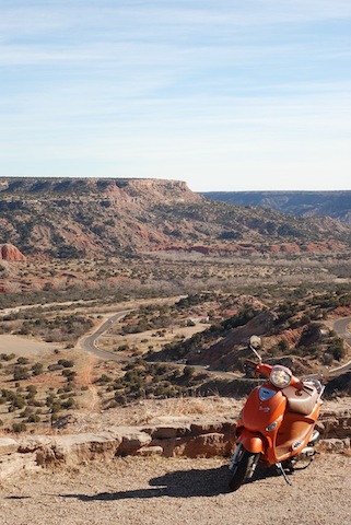 Buddy at overlook