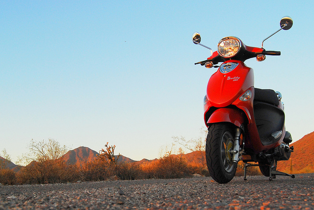 Buddy in the foothills