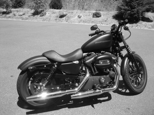 2010 Iron 883