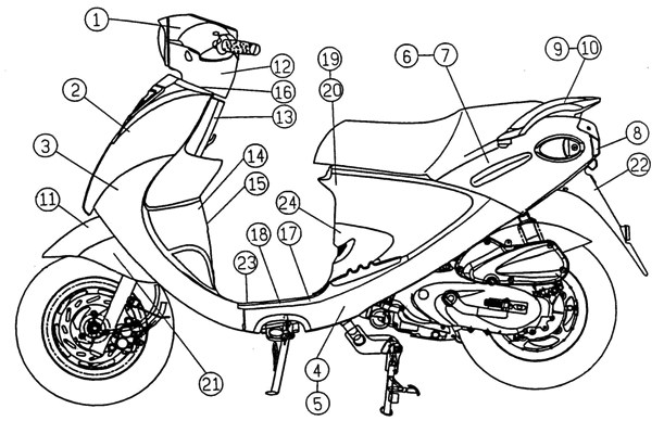Buddy Body Diagram