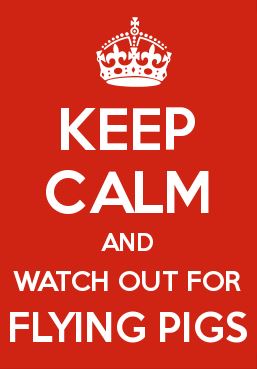 Keep Calm and Watch for Flying Pigs.JPG