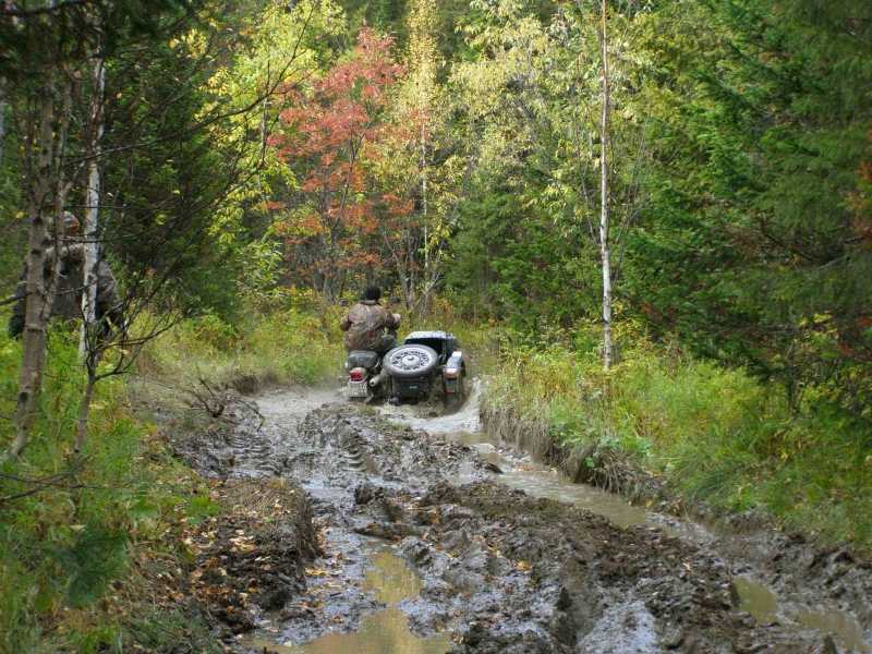 Mud.jpg