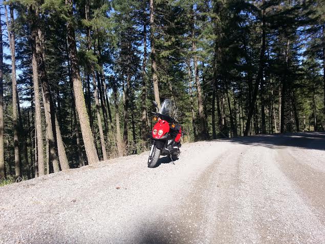 scooter3.jpg
