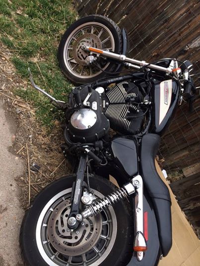 harleymia.jpg