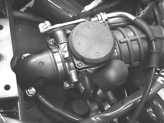 Buddy Carb.jpg