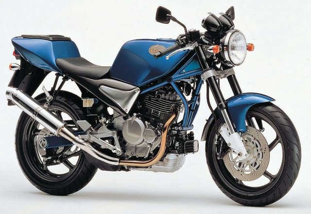 Suzuki SG350N Goose