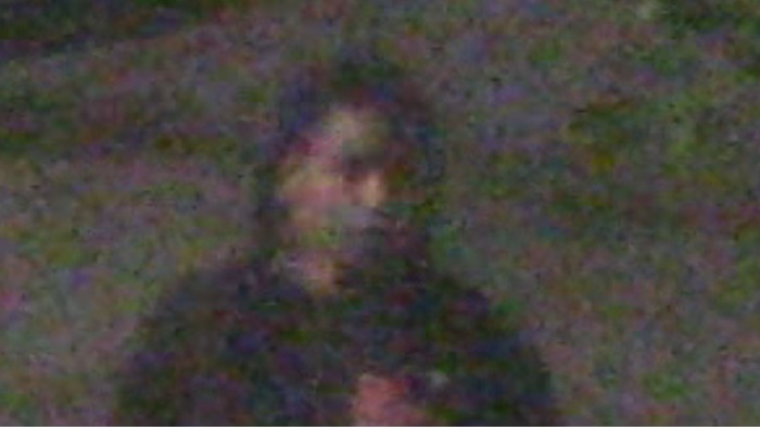 thief