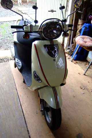 Bud4-08 (2)rs.jpg