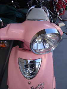 pink buddy front.jpg