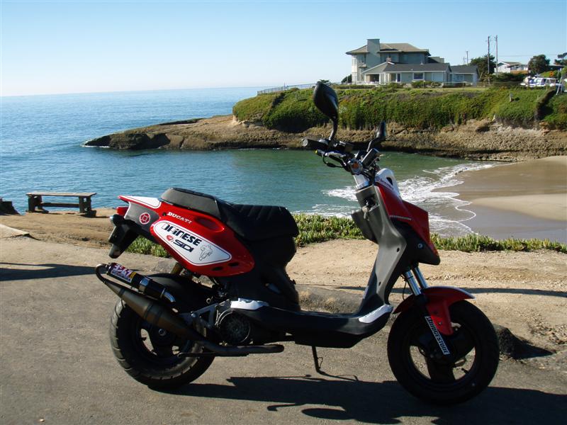 Sunny Cove (Custom) (2).JPG