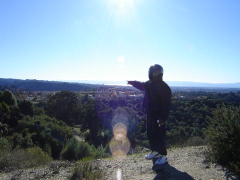 Bay Area View 3.jpg