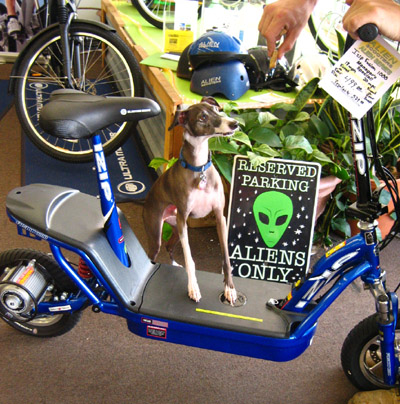 colin on 1000watt scooter with writing copy.jpg