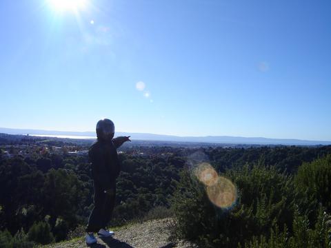 Bay Area View 2.jpg