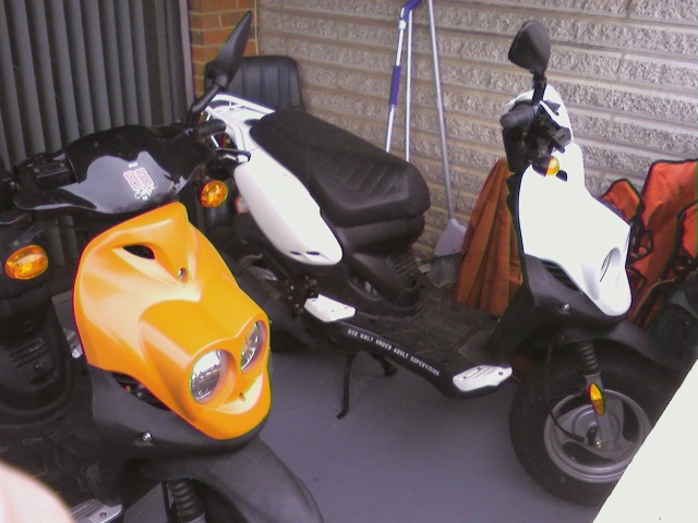painted scoots.jpg