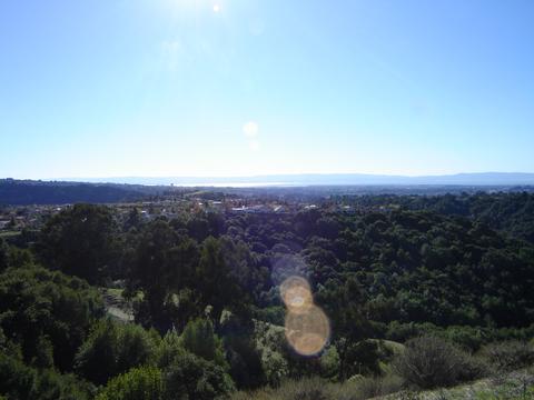 Bay Area View.jpg