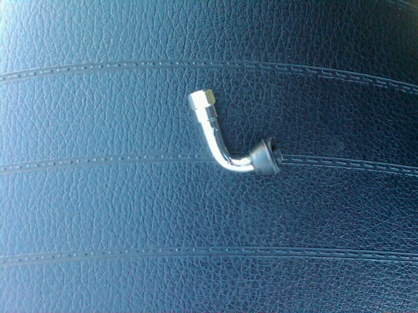 my stem, two days ago.