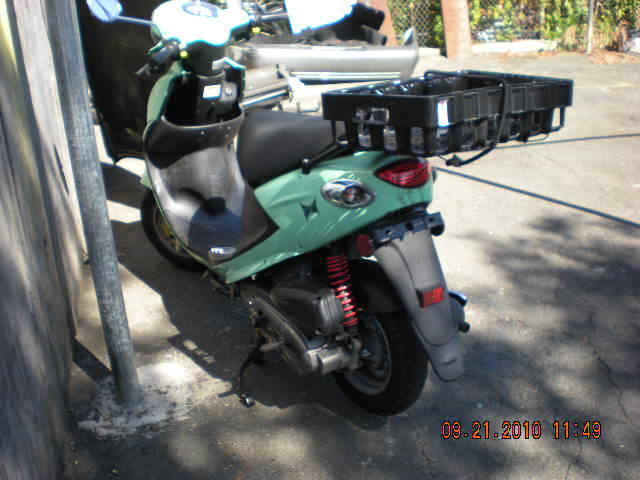 buddy 1.jpg