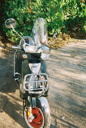 Sally 9.jpg