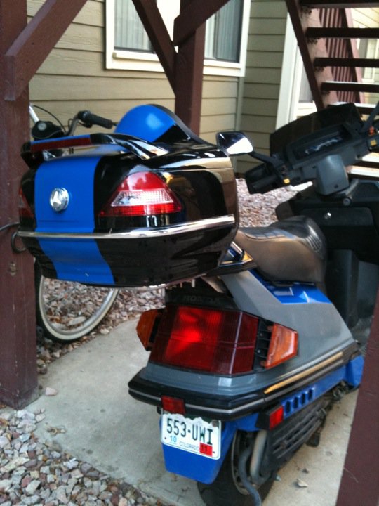 Rear with Trunk