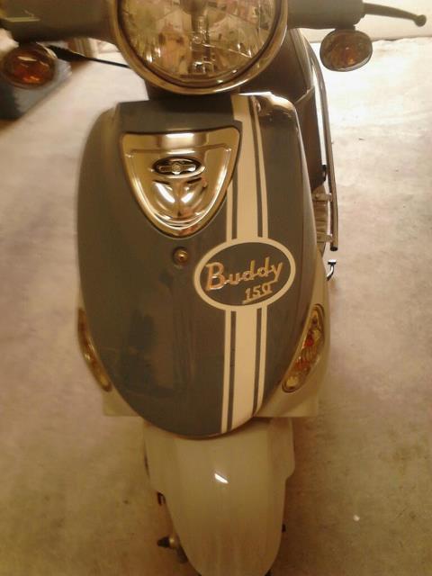 Buddy.jpg