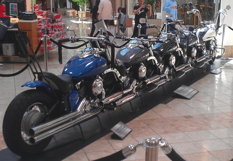 Many bikes - rear.jpg