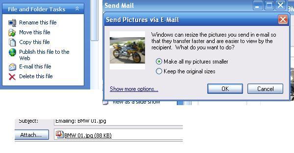 smaller pics.JPG