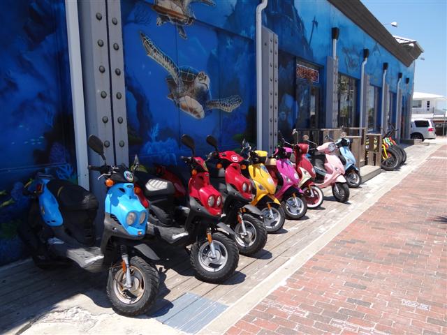 Florida Buddys (Small).jpeg