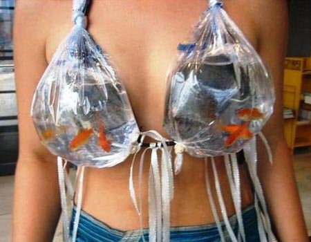 gold-fish-bra.jpg