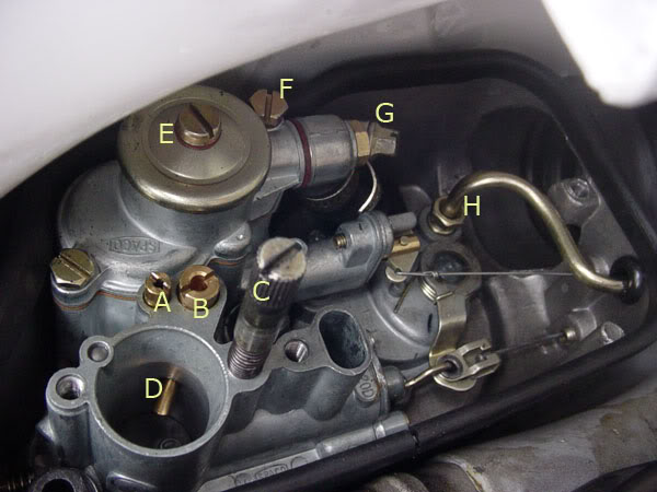 stella carb.jpg