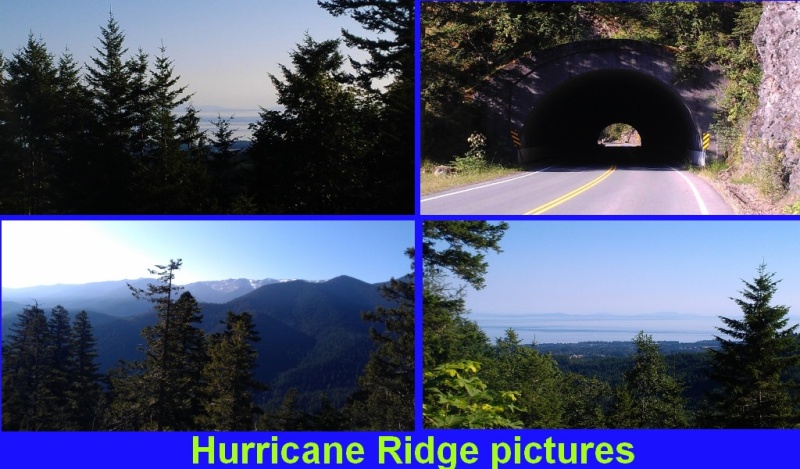 Hurricane Ridge pictures - 1.jpg