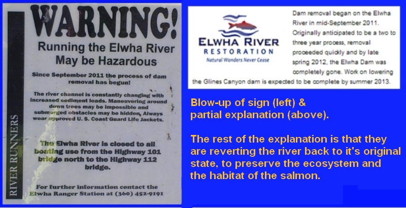 Elwha River 2.jpg