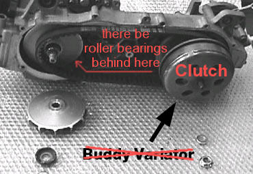 BuddyCVT+.jpg